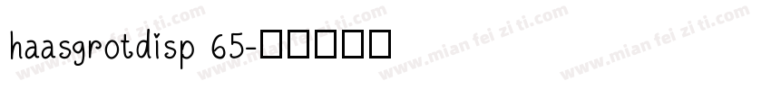 haasgrotdisp 65字体转换
